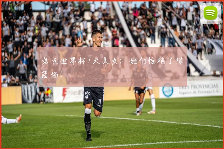 盘点世界杯7大美女：她们惊艳了绿茵场！