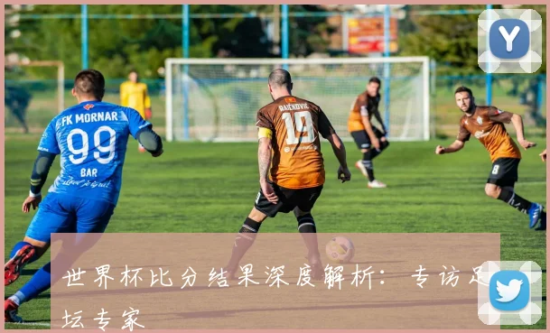 世界杯比分结果深度解析：专访足坛专家