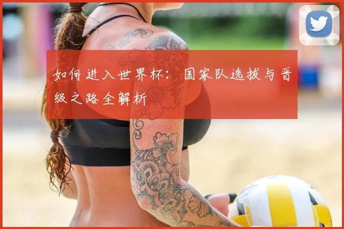 如何进入世界杯：国家队选拔与晋级之路全解析