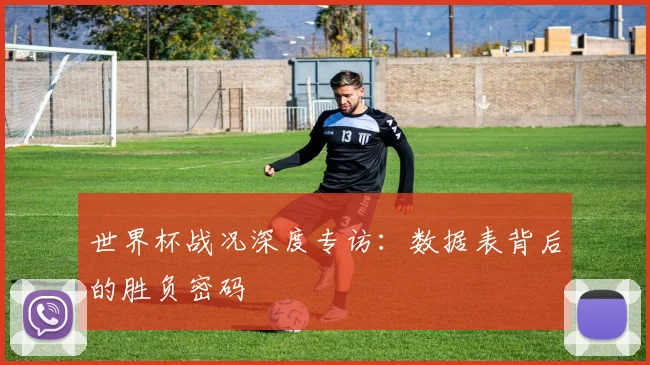 世界杯战况深度专访：数据表背后的胜负密码