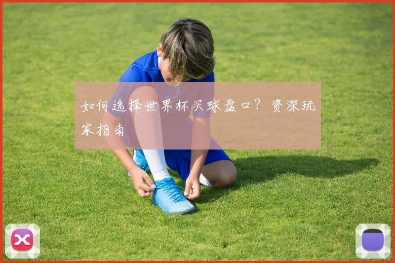 如何选择世界杯买球盘口?资深玩家指南